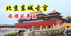 爱爱自拍免费视频中国北京-东城古宫旅游风景区